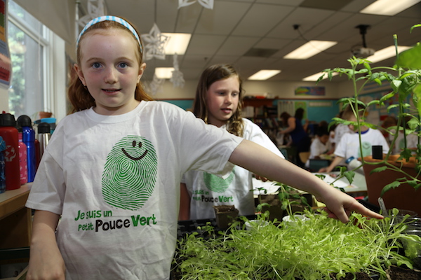 Holiday Vacation for Your Classroom Garden & Plants