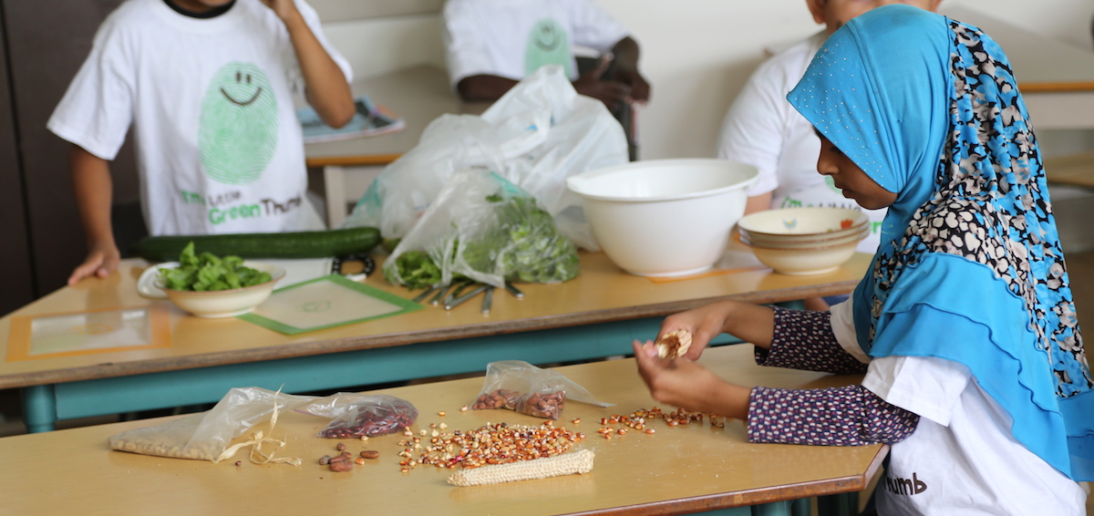 Ingredients for Successful Classroom Cooking