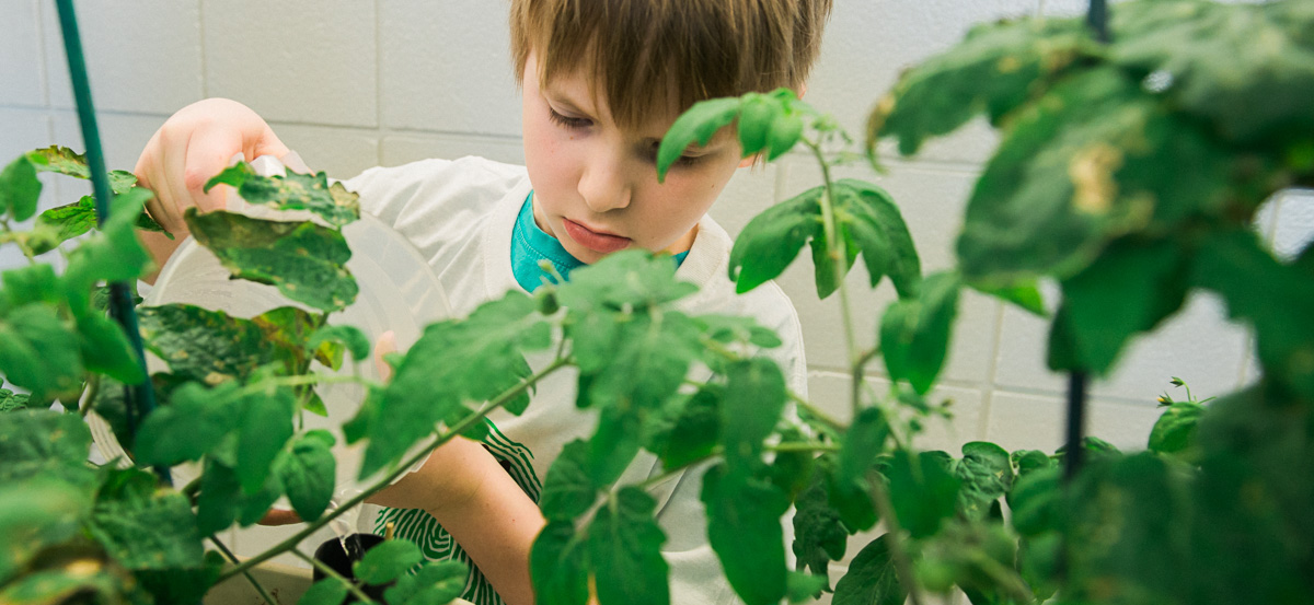 Recipe for a Successful School Garden