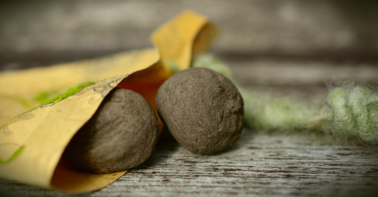 Make Your Own Seed Bombs