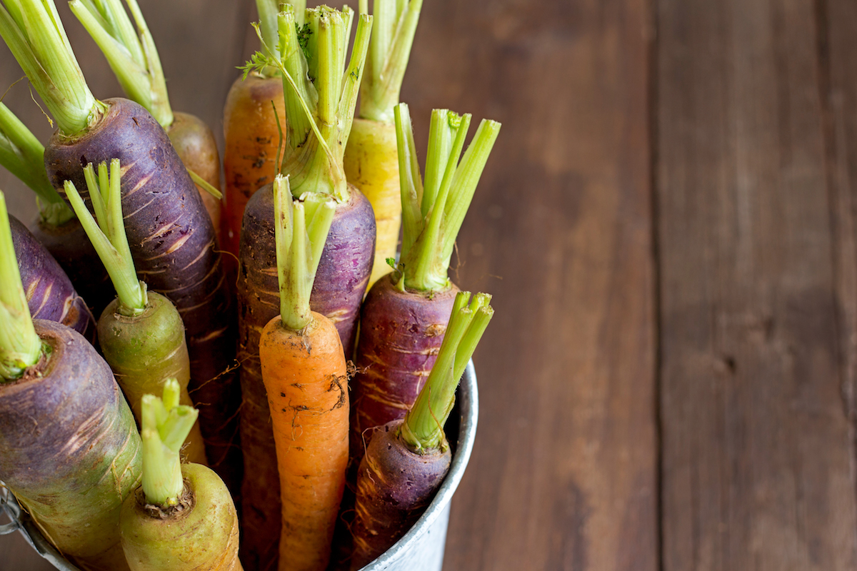 Our Favourite Funky Veggies to Grow with Kids