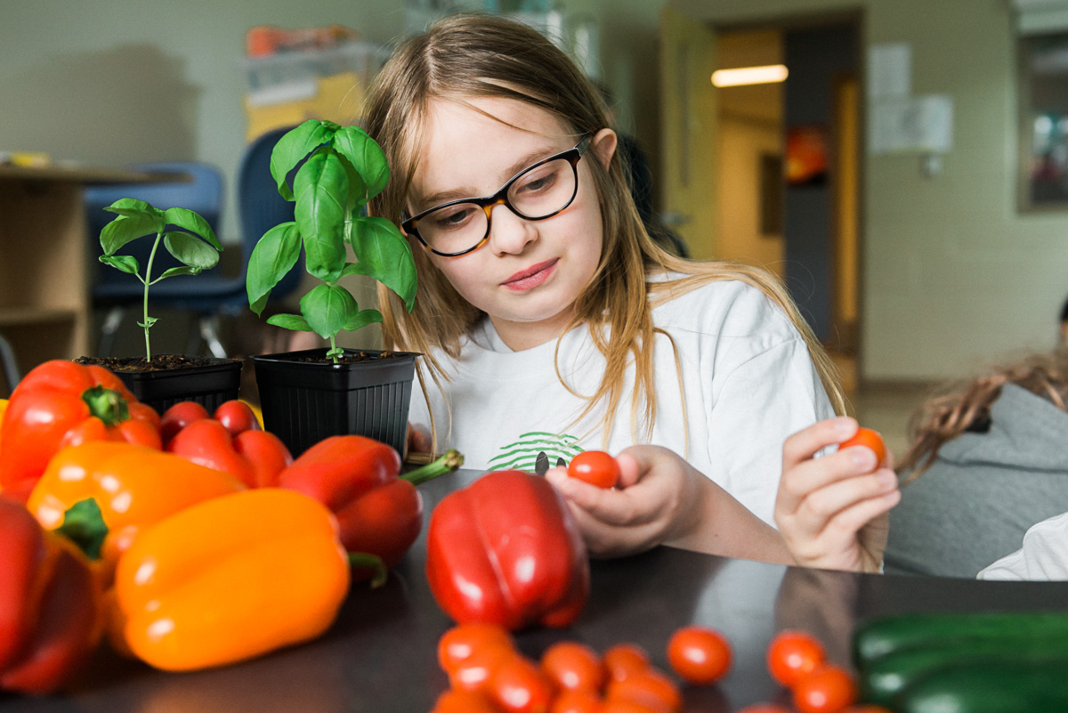 Where Does Our Food Come From? Our Favourite Ag & Food System Resources