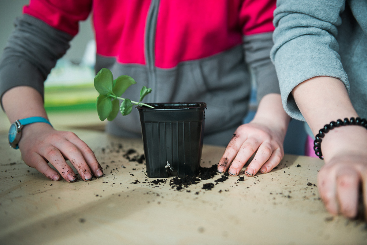 School Gardens Build Environmental Awareness