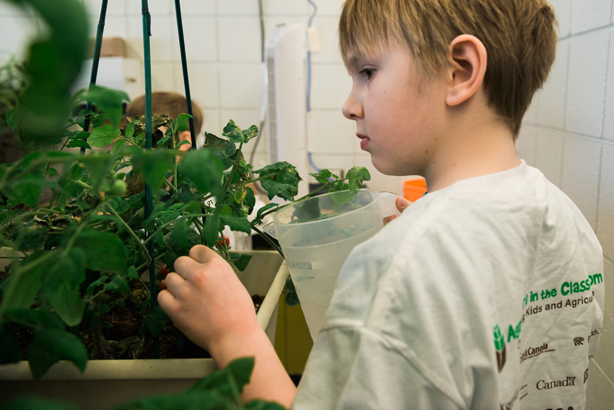 Our Top 8 Evidence-Based Reasons to Cultivate a Classroom Garden