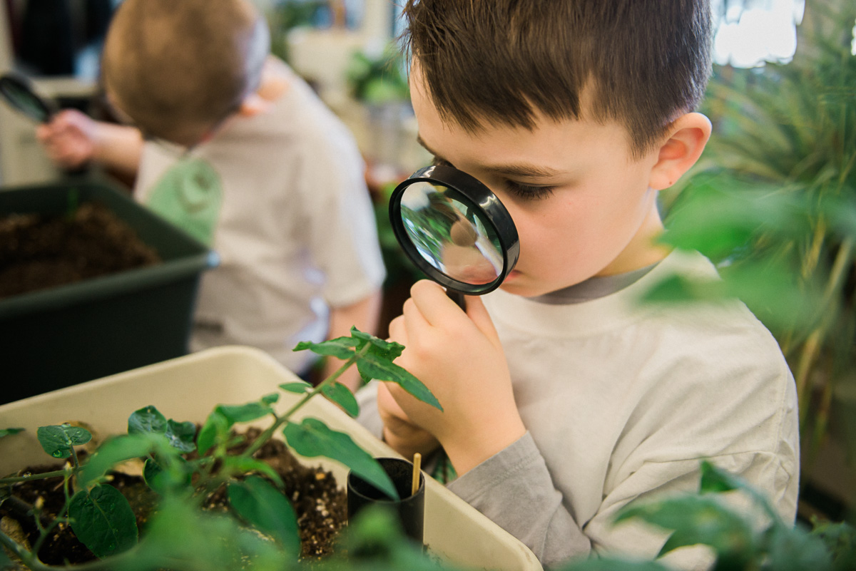 Inquiry Learning in the Garden