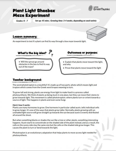 Plant Light Shoebox Maze Experiment | Little Green Thumbs