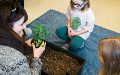 Caring for Plants and Their Needs