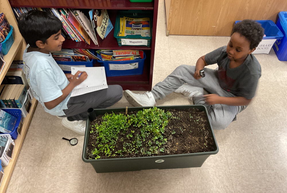 Protected: Growing Leaders, Cultivating Change: Announcing the Inaugural Little Green Thumbs National Teacher Award Winner