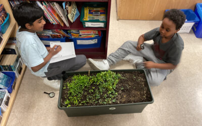 Growing Leaders, Cultivating Change: Announcing the Inaugural Little Green Thumbs National Teacher Award Winner