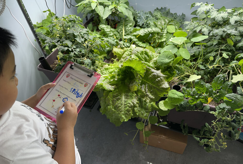 Protected: Growing Curious Minds: Announcing Inaugural Little Green Thumbs National Teacher Award Winner Hayley Muench