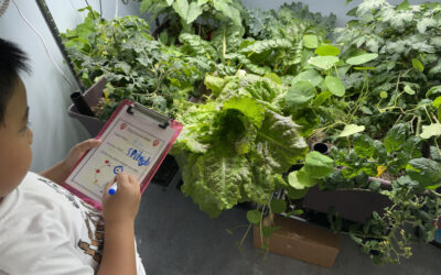 Growing Curious Minds: Announcing Inaugural Little Green Thumbs National Teacher Award Winner Hayley Muench